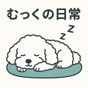 むっくの日常